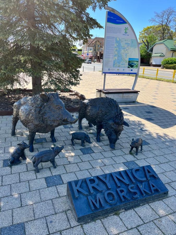 Piano Krynica Morska